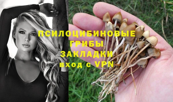 тгк Новокубанск