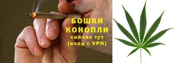 трава Нязепетровск