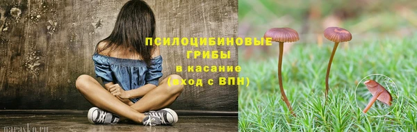 тгк Новокубанск