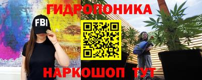 СК Абакан