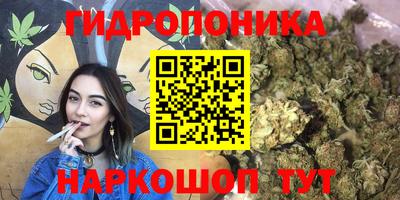 дмт Абинск