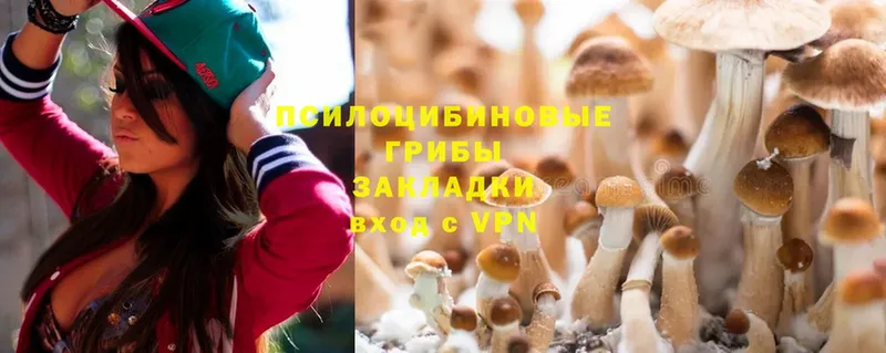 mega ссылки  Анжеро-Судженск  Псилоцибиновые грибы MAGIC MUSHROOMS 