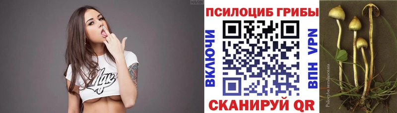 магазин  наркотиков  блэк спрут ТОР  Псилоцибиновые грибы MAGIC MUSHROOMS  Анжеро-Судженск 