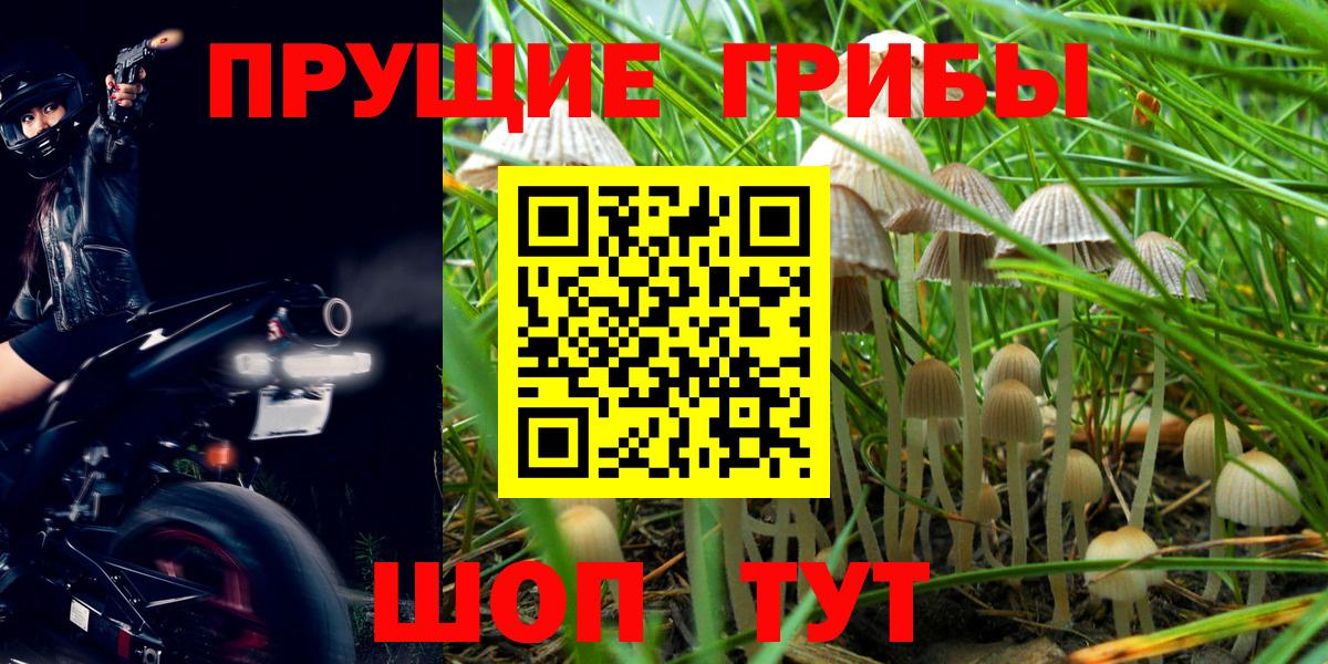 Псилоцибиновые грибы Magic Shrooms  Вход с VPN  Анжеро-Судженск 