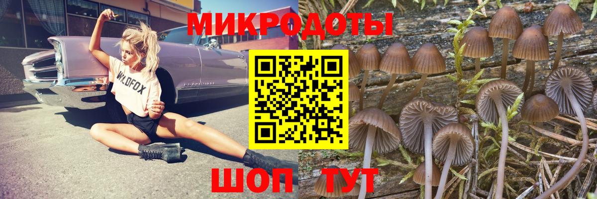 Галлюциногенные грибы мицелий  Анжеро-Судженск 