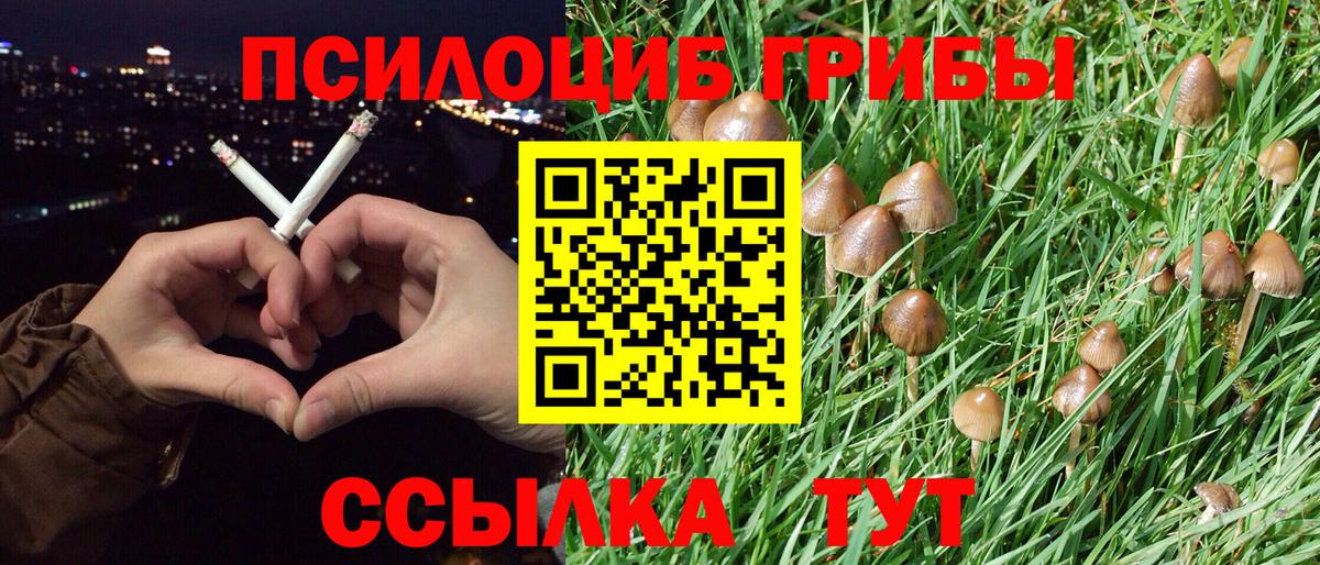 Псилоцибиновые грибы MAGIC MUSHROOMS  Псилоцибиновые грибы Magic Shrooms  Анжеро-Судженск  Вход с VPN 