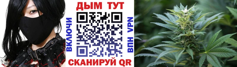Конопля сатива  Анжеро-Судженск 