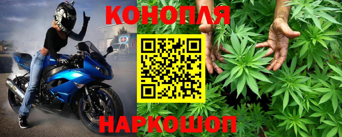 Шишки марихуана Amnesia Анжеро-Судженск